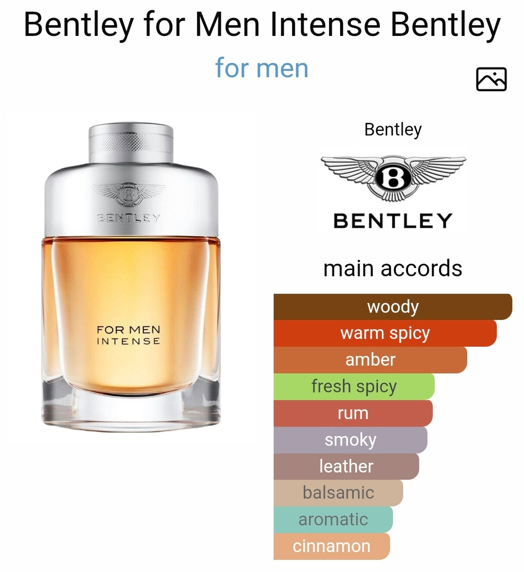 Bentley for Men Intense Bentley